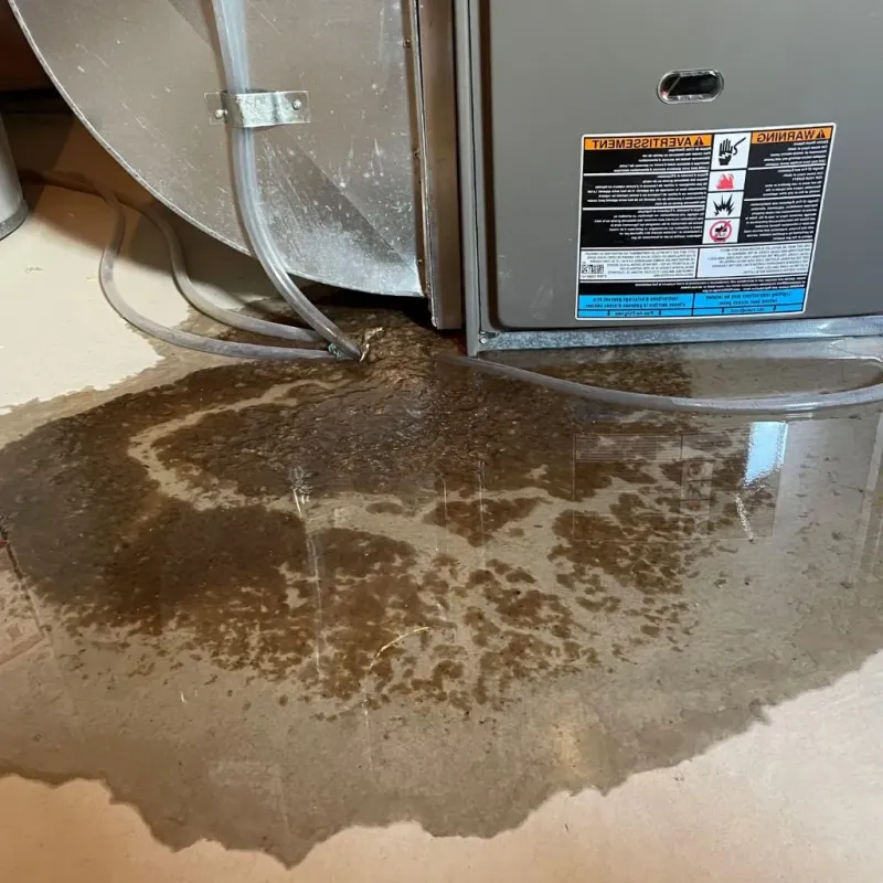 Pipe Burst and Leak Restoration in New Hempstead, NY